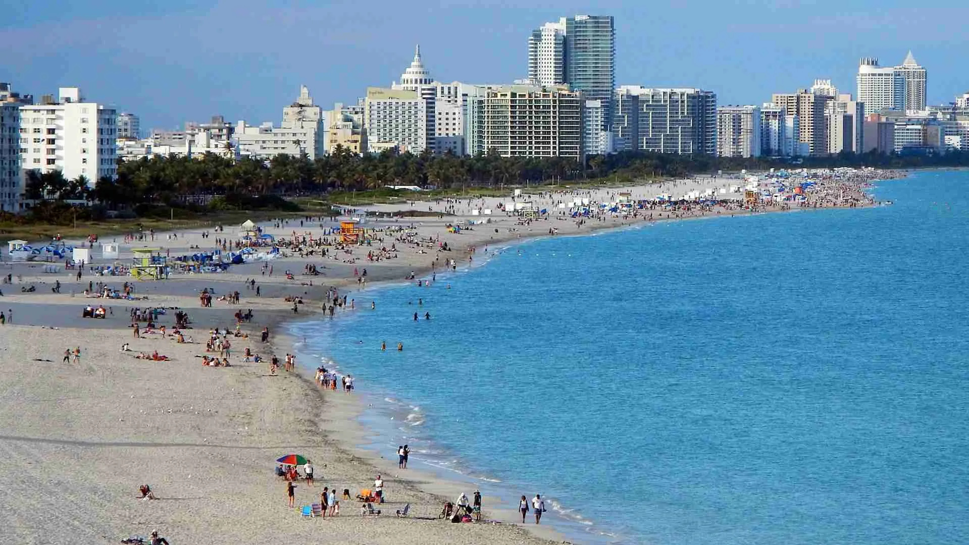 Quintus Scholars Miami Beach