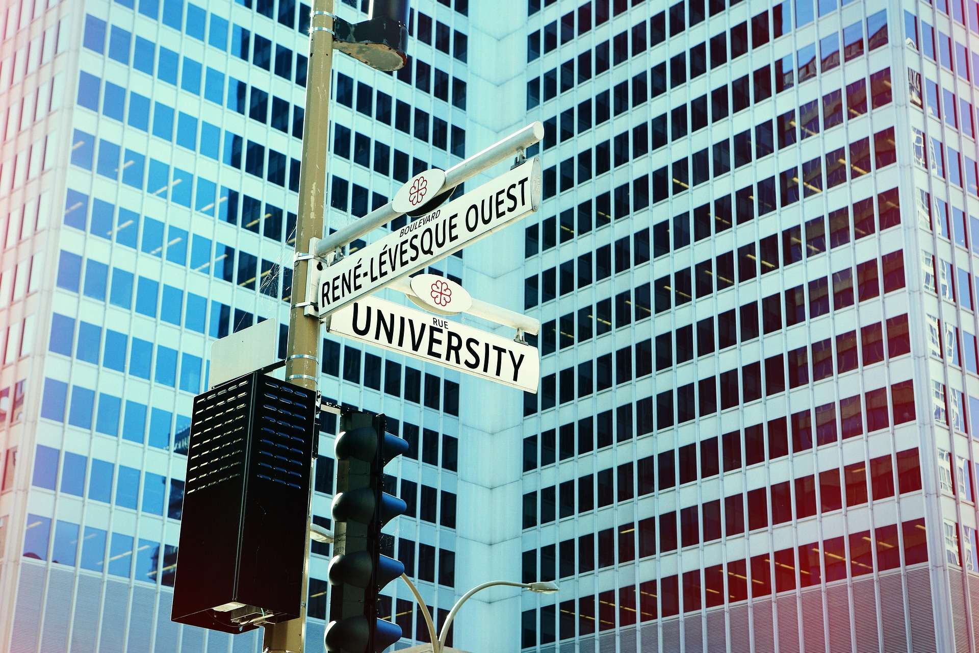 Quintus Scholars Montreal René-Lévesque Blvd W