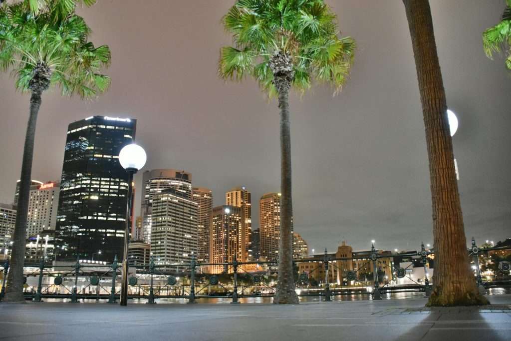 Quintus Scholars Sydeny Night