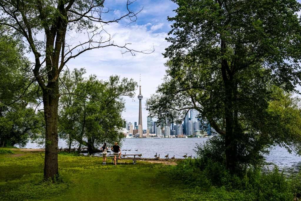 Quintus Scholars Toronto Islands